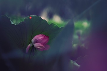 33BDE0A5-BB10-4527-9690-AAF204DF27CF/L0/001