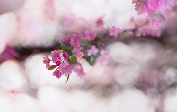 E202A705-520A-4609-940B-D20676A95047/L0/001