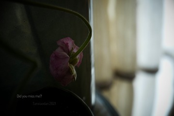 FD6E7E67-30E1-4C39-A8AF-3F803F8E069E/L0/001