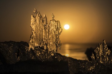 _DSC9499