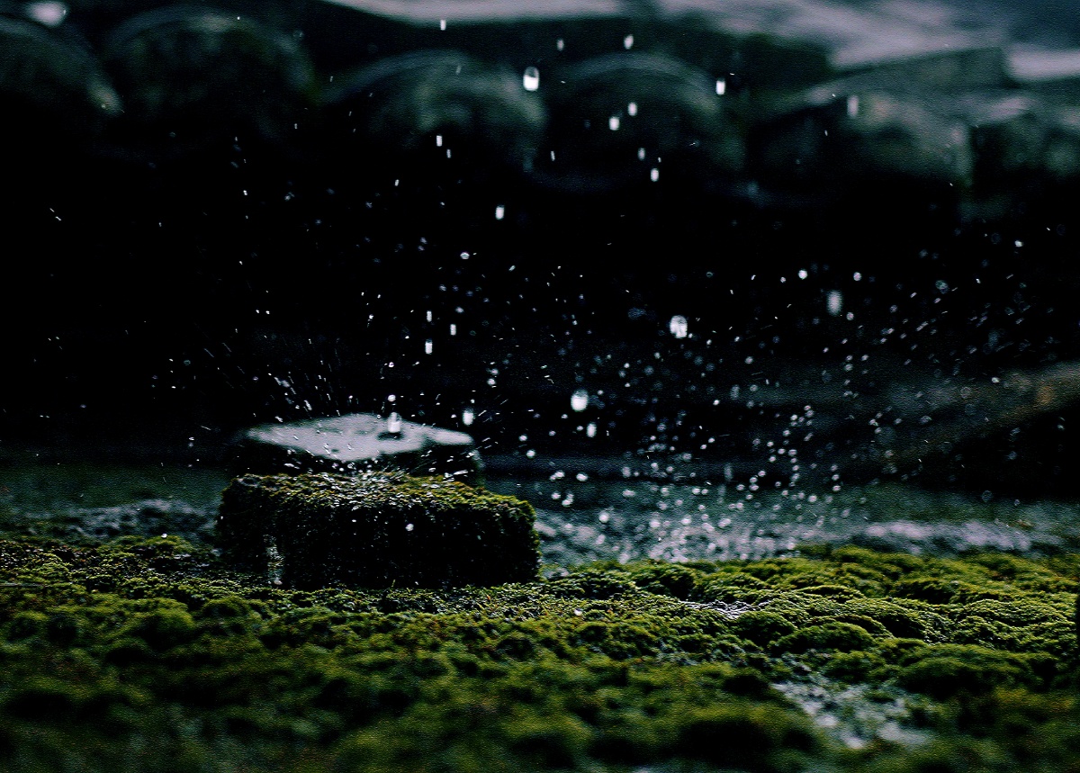 看雨滴落下的声音