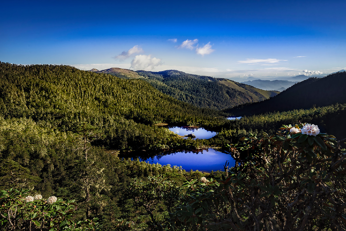 丽江九十九龙潭