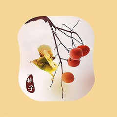 2017011202