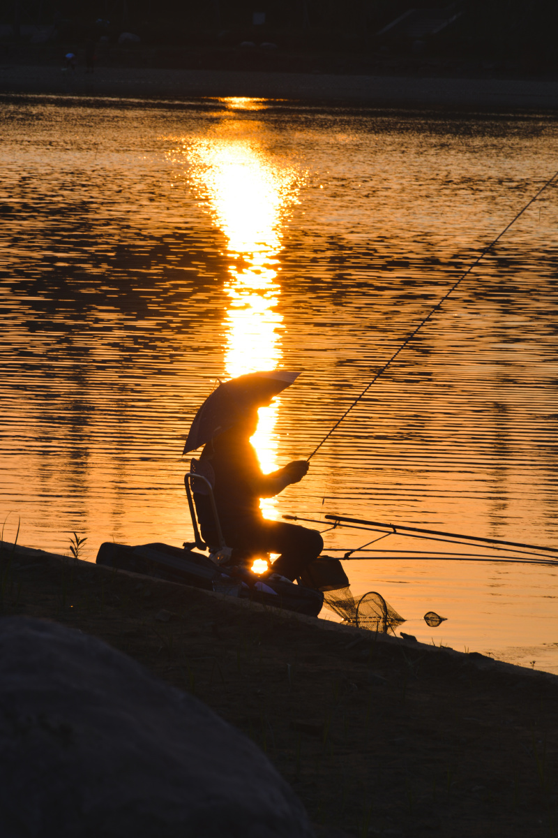 夕阳61垂钓