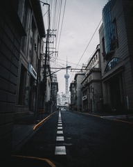276558