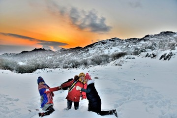 《雪原倩影入画来》