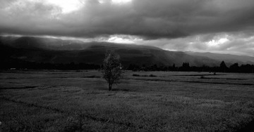 20121005260_