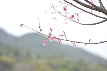 6080373