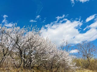 D828A39F-1F4F-48FE-9319-31B1F3A657B0/L0/001