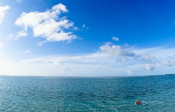 _DSC4068