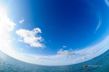 _DSC4071