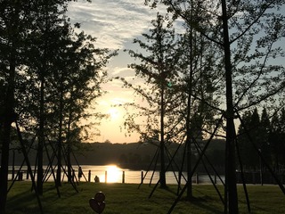 晨曦