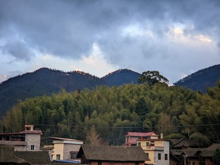 1000010790