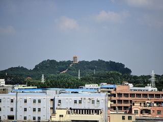 1000076029