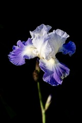 001