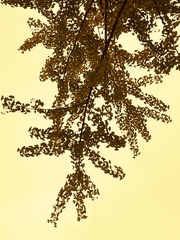 87BD9D31-F547-444F-B625-E2A5E18FA25D/L0/001