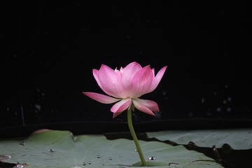 140976