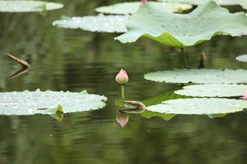 140585