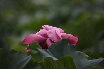 140596