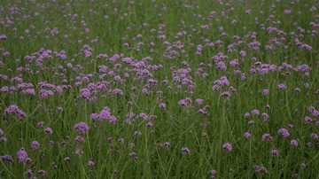 21D0AB4F-4BEE-4730-BD73-E10658D1AFD5/L0/001