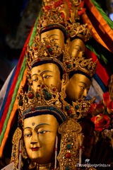 religious-statue-of-heads-in-sera-monastery-lhasa-tibet