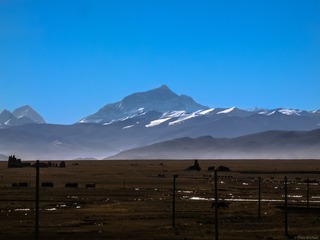 14910780498_37bfaf5b04_o