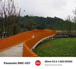 243521