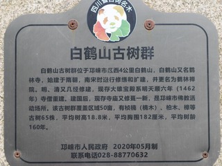 215846