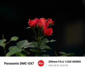 243500