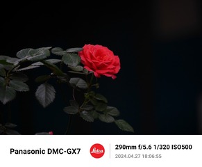 243498