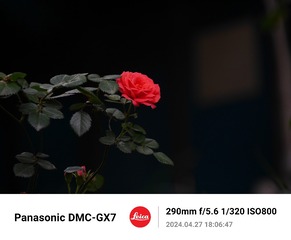 243499