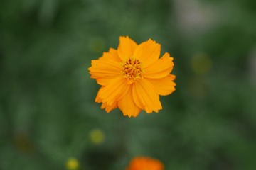 176079