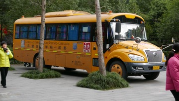 5194656