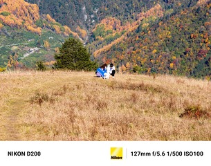 1655696