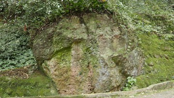 1982009
