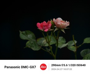 243501