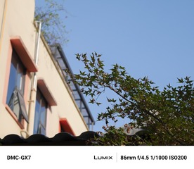 1657706