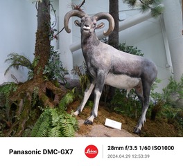 243573