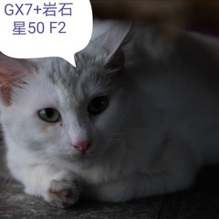 176156