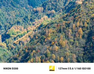 1655688