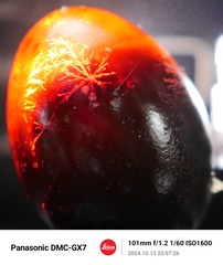 278187