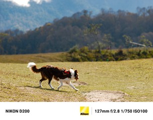 1655706