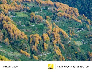 1655663