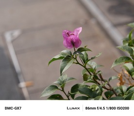 1657678