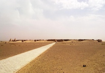 20100711251