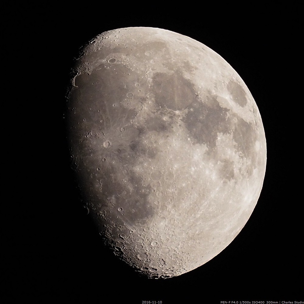 PEN-F + M.ZD300/4pro