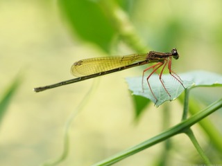 P6300085