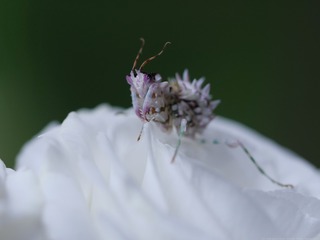 P1122116