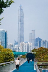 3097411