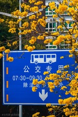 3099214